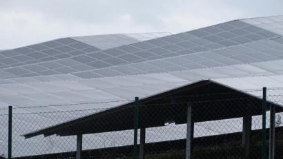 Bild: Houschka
Wie ein Gebirge wölben sich die Solarmodule, lassen Leben von Fauna und Flora darunter kaum zu: Das ist einer der Gründe, warum der Gemeinderat eine Erweiterung eine Erweiterung der Anlage auf einer Anhöhe bei Wolfring ablehnt.