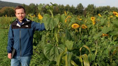 Bild: Hirsch
Sebastian Prüfling hat Zwischenfrüchte angebaut und wertet die Bodenproben für seine Bachelor-Arbeit aus.
