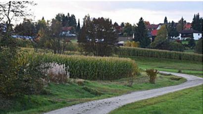 Bild: ld
Ein ortsnaher Weg für alle Generationen soll der Erfahrungspfad werden. Er soll informieren und Bewusstsein schaffen für die Bedeutung einer gesunden Umwelt.