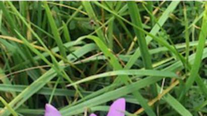 Bild: do
Die Natur hat auch im Herbst noch viel Farbe zu bieten.