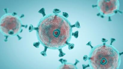Bild: dowell
coronavirus,3d render