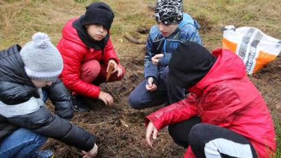 Bild: sne
Die Förster von morgen? Die Schüler vergraben die Eicheln im Boden, so dass hoffentlich in Jahren ein stabiler Mischwald wächst.