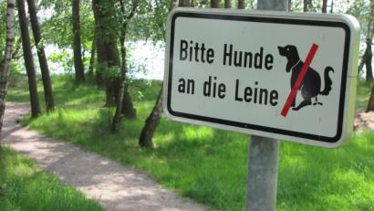 Symbolbild: Gerhard Götz
Ein freilaufender Hund hat in Niesaß ein Reh gejagt.