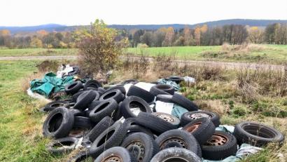 Bild: ppz
Mitten in der Natur haben Umweltsünder Altreifen abgelagert.