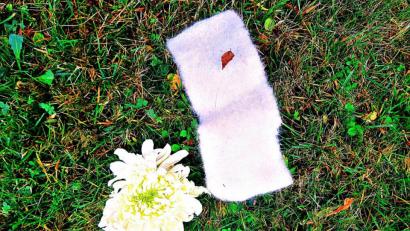 Bild: ld
Eine Blüte und eine Schleife erinnern an den vermissten Blumenstrauß.