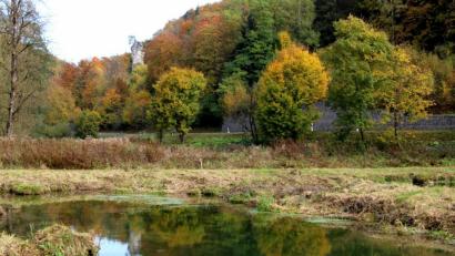Bild: ds
Der Rißturm hebt sich markant aus der Farbenpracht des Herbstwaldes hervor.