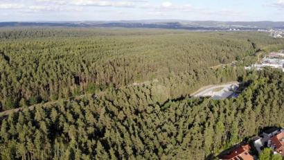 Bild: Gustl Beer
Blick auf die Waldflächen, auf denen das Gewerbegebiet Weiden West IV nördlich der B 470 entstehen soll. Im Vordergrund die Brandweihersiedlung mit der Panzerwaschanlage und den Gebäuden von Weiden-West III.