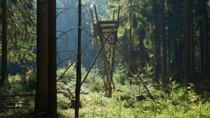 Bild: soj
Manche halten die Jagd für ein grausames Ritual. Andere hingegen plädieren für eine maßvolle Regulierung des Wildbestandes im Wald unter Beachtung ökologischer Rahmenbedingungen. Trophäen sollten nicht im Mittelpunkt waidmännischen Verhaltens stehen.