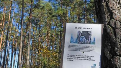 Bild: Gabi Schönberger
Hinweise der Gegner des geplanten Gewerbegebietes Weiden-West IV im Wald. Oberbürgermeister Jens Meyer will dem Aktionsbündnis Walderhalt, das ein Bürgerbegehren initiiert, nicht das Feld überlassen.