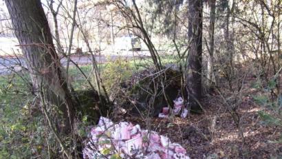 Bild: Polizeiinspektion Neustadt/WN/exb
161 originalverpackte Damenbinden hat ein Spaziergänger bei einem Wanderparkplatz in Windischeschenbach gefunden.