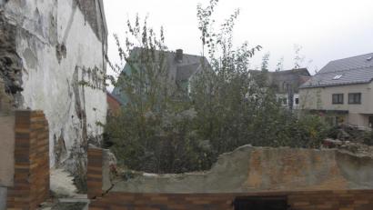 Bild: Wilhelm Amann
Die Stadt kann das verwilderte Grundstück am Mühlweg 2 kaufen. Doch der genannte Preis stößt einem Teil des Gremiums sauer auf.