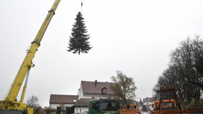 Bild: Petra Hartl
Hier hebt der Weihnachtsbaum für den Malteserplatz Amberg ab: Ein extra großer Kran hievte die Nordmanntanne am Dienstag aus einem Garten und über einen zweiten hinweg auf den bereitstehenden Lastwagen.