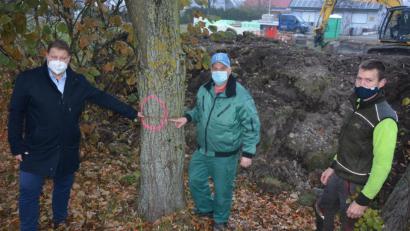 Bild: jr
Bürgermeister Stefan Grillmeier (links) und Stadtgärtner Willi Kilian (Mitte) zeigen auf einen Sägeschnitt an einem Baum im Wohngebiet „Rohrstaude“. Insgesamt wurden dort zehn Linden und Weiden angesägt, die aus Sicherheitsgründen entfernt werden müssen, wie Baumkontrolleur Manfred Härtl (rechts) festgestellt hat.