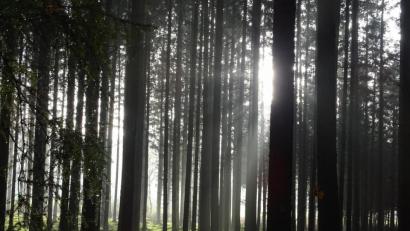 Bild: Houschka
Schon bald wich die sonnige Stimmung wieder herbstlicher Tristesse.