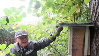 Bild: dip
OWV-Vogelwart Manfred Witt freut sich, dass er mit dem Aufhängen der Nistkästen nun auch für die Haselmaus eine bleibende Stätte schaffen konnte.