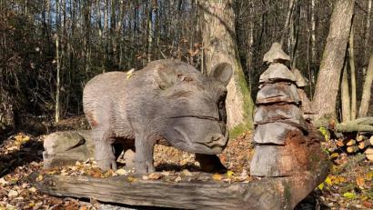 Bild: sne
Die Wildsau am Naturerlebnispfad Bierlohe: Hier geht die Schnitzeljagd los.