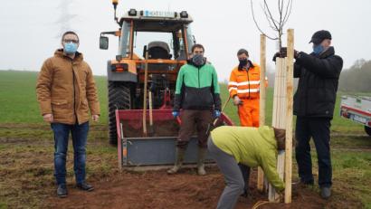 Bild: du
Insgesamt sieben Apfel- und Zwetschgenbäume wurden an den "Waldauer Äckern" für eine neue Streuobstwiese der Zukunftswerkstatt gepflanzt.