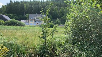Bild: Nina Forster
Am Hausener Bach in der Ortschaft Hausen will die Gemeinde Ursensollen eine Kneippanlage errichten. Der Gemeinderat Ursensollen bewirbt sich um Fördermittel für diese Maßnahme.