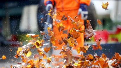 Bild: Roland Weihrauch
Das Herbstlaub wird mit einem Laubbläser durch die Luft gewirbelt. Foto: Roland Weihrauch/dpa/Archivbild