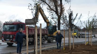 Bild: dob
Die Mitarbeiter der Gartenbaufirma Siegfried Kahl aus Schmidgaden sind derzeit in der Pleysteiner Straße mit den Baumpflanzarbeiten beschäftigt. Erstmals werden auf dem Gebiet der Großgemeinde Hopfenbuchen gesetzt. Silberlinden dagegen wurden hin und wieder schon verwendet, sagte Außendienstleiter Karl Frey (rechts), der mit Bürgermeister Andreas Wutzlhofer (links) zu einer Stippvisite vorbeischaut.