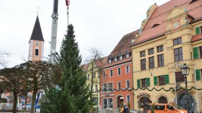 Bild: dob
Fast wie von Geisterhand schwebt der stattliche Baum heran. Er wird in der Advents- und Weihnachtszeit vor dem Rathaus mit knapp 200 Lichtern erstrahlen.