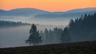 Bild: Günter Moser
Im Jura beim Ort Guttenberg nahe Kastl bilden sich Nebelschleier in den Tälern und modulieren die hintereinander gestaffelten Wälder zu einer wunderbaren Kulisse.