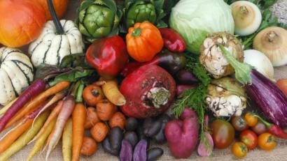 Bild: Billesberger Hof, Moosinning/dpa
Für Lucia Seebauer spielte Obst und Gemüse in der Ernährung lange ehre eine untergeordnete Rolle.