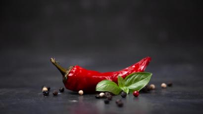 Bild: adobe.stock
Der Endgegner meiner Amateur-Küche: Die Chili.