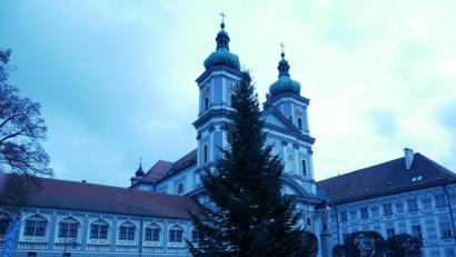 Bild: hmr
Einen stattlichen Christbaum mit fast 14 Meter Höhe haben die Bediensteten des städtischen Bauhofs wieder auf dem Basilikaplatz aufgestellt.