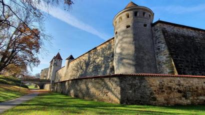 Bild: Christian Scheibl/exb
Einen Spaziergang im Amberger Stadtgraben machte Christian Scheibl.