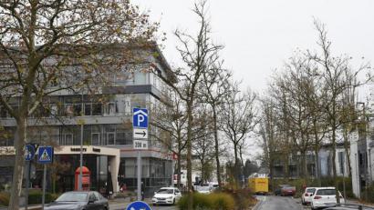 Bild: Petra Hartl
Derzeit wird der Baumbestand im Stadtgebiet kontrolliert. Im Bild: Marienstraße.
