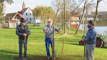 Bild: ow
Der Vorsitzende des Obst- und Gartenbauvereins, André Dietrich (Mitte), kommt nach Filchendorf, um in der Streuobstwiese hinter dem Bolzplatz zwei von Ely Eibisch gestiftete Obstbäume zu pflanzen. Dabei informiert er die beiden Helfer Gerhard Dollhopf (links) und Manfred Rix (rechts) über den erforderlichen Pflanzschnitt.