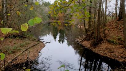 Bild: le
Seine Kindheitserinnerungen über den idyllischen Hardter-Hügel-Weiher auf der Anhöhe des Hardter Hügels schilderte im dritten Bildband Sagenhaftes Floß und Neues vom Plankenhammer der Austragsbauer Ernst Münchmeier aus Hardt. Die Weiheranlage gehört heute Sabine und Norbert Meierhöfer aus Schönbrunn.