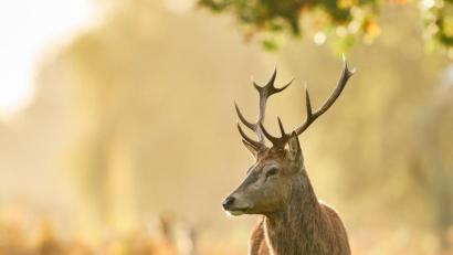 Bild: John Walton/dpa
Symbolbild.