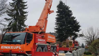 Bild: Christoph Härtl/Bauhof Mitterteich/exb
Von einem Autokran wurde die drei Tonnen schwere Tanne auf einen Schwertransporter gehievt.