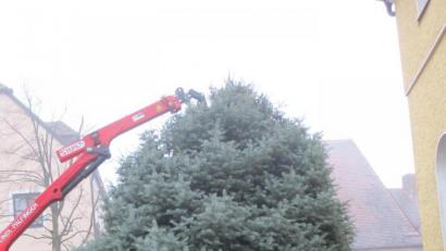 Bild: Josef Glas
Der Christbaum steht auf dem Marktplatz.
