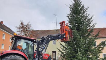Bild: jr
Bauhof-Mitarbeiter der Gemeinde Bad Neualbenreuth haben jetzt mit Unterstützung von Josef Altnöder am Marktplatz einen Christbaum aufgestellt.
