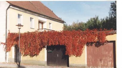Repro: amö
Das Bild des ehemaligen Pfarrhofes (Aufnahme von 1995) ist für manchen Jugendlichen schon eine Rarität, da sie dieses Haus nicht mehr kennen, sondern nur die Baulücke.