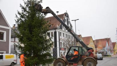 Bild: bö
Auch wenn heuer die Weihnachtszeit ganz anders abläuft - zumindest der Christbaum erinnert an die Adventszeit und Weihnachten in Hohenburg.