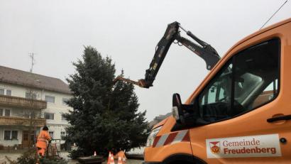 Bild: gri
Den Dorfplatz in Freudenberg schmückt seit Mittwoch ein Christbaum, ab dem ersten Adventswochenende werden daran die Lichter leuchten.
