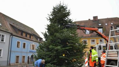 Bild: gi
Die Bauhof-Arbeiter stellen den Weihnachtsbaum am Marktplatz auf.