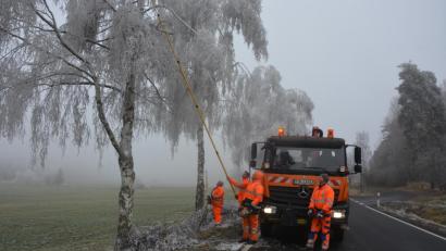 Bild: jr
Die Last des Raureifs drückte die Äste einiger Bäume an der Straßen zwischen Konnersreuth und Pechbrunn gefährlich tief nach unten. Baumkontrolleur Tobias Wenisch setzte eine sieben Meter lange Stangensäge ein, um die Äste zu entfernen. Unterstützt wurde er vom Straßenbetriebsdienst des Landkreises Tirschenreuth.