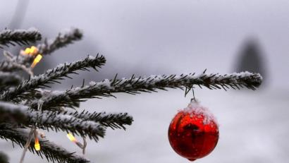 Bild: Karl-Josef Hildenbrand/dpa
Ein geschmückter Christbaum steht im Garten eines Bauernhofes.