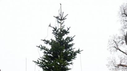 Bild: bey
Der Christbaum auf dem Pleysteiner Marktplatz wartet auf die Erleuchtung.