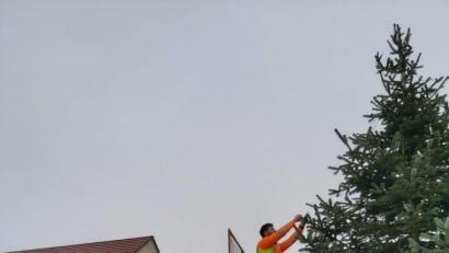 Bild: Markt Eslarn/exb
Christbaum