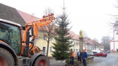 Bild: amö
Bevor der Baum verankert wurde gab es noch prüfende Blicke von ILE-Manager Christian Karl (Mitte) und den Bauhofmitarbeitern