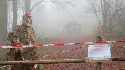 Bild: ow
Seit Ende Juli ist der Zugang zum Gipfel des Rauhen Kulms gesperrt. Wegen der Gefahren durch die abgestorbenen Bäume herrscht hier immer noch Lebensgefahr.