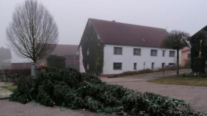 Bild: edo
Der fertig geschmückte Mooser Christbaum wurde in der Nacht auf Samstag von Unbekannten umgesägt.