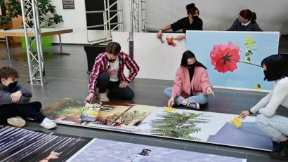 Bild: Silke Winkler
Die Schüler fotografieren Weiden aus einer anderen Perspektive - und stellen die Bilder in Comic-Manier aus.