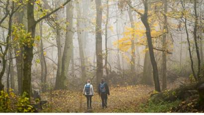 Symbolbild: Arne Dedert/dpa
So manchem drückte der Trauermonat November allein mit seinem Wetter aufs Gemüt. Wenn Kontaktbeschränkungen, Ansteckungsgefahr und die Sorge um Angehörige hinzukommen, trifft das einige Menschen besonders hart.